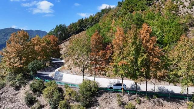 骑行赏枫、古村寻秋……被祁门的「枫景」治愈啦！| 皖美秋日