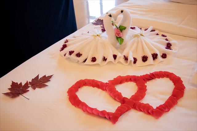 威海荣成“那香海第二届天鹅童话节”来了！ 邀您闯入有雪有海有天鹅的冬日胜境~