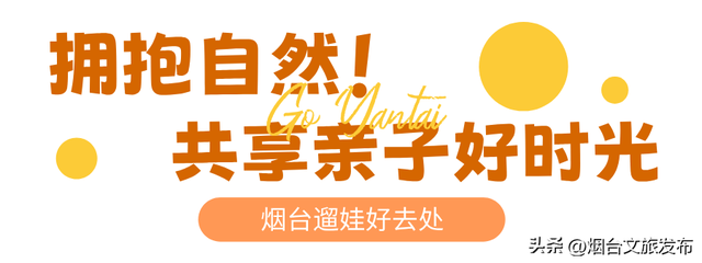 【乐游烟台】高性价比！烟台被严重低估的神仙遛娃地