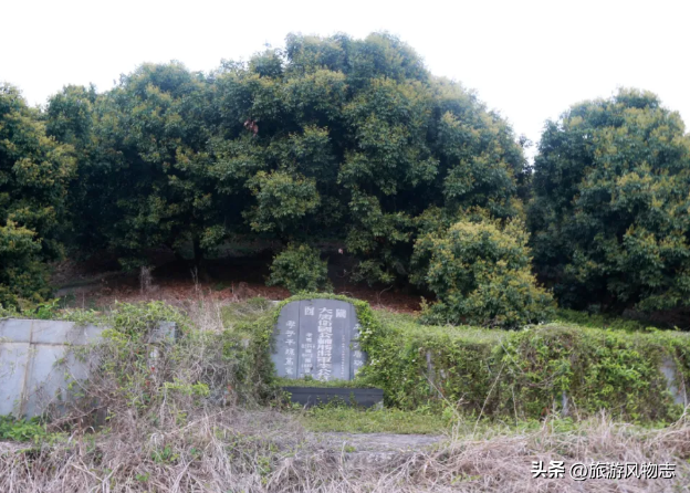 福建漳州6大陵墓，都是历史名人陵墓，你知道几个？