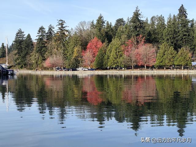 温哥华游记（四）