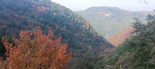 骊山红叶似火 车辆行人如织