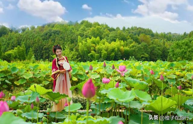 衢州4天3晚深度游攻略|穿越千年文 脉，解锁三省交界的清凉秘境