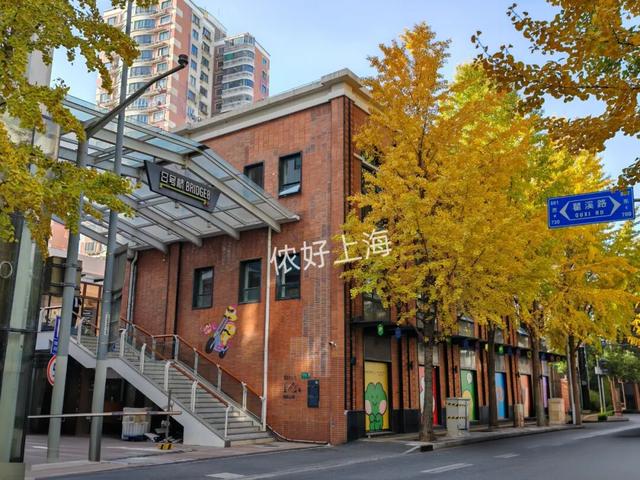 出片率100%！上海人都在找这个“限定露台”！这条“银杏大道”好拍又好吃！