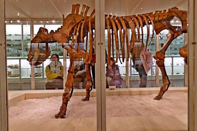 藏品20万+,这座博物馆“看宝”又“出片”!