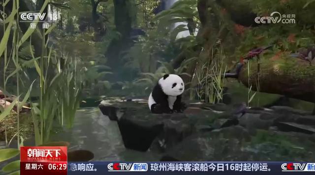 洛阳再上央视！洛阳博物馆、应天门、洛邑古城…
