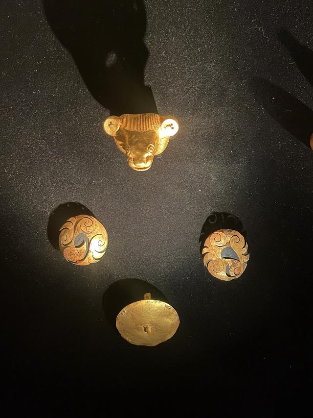 北京没料到,天津也没料到,如今的石家庄,怎么就成大家的新去处