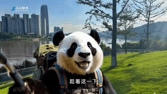 燃！滚滚儿做导游