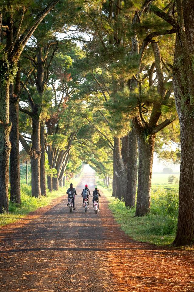 这几种地方，秋景格外出片