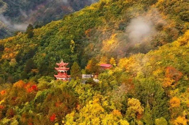 秋假冲鸭!佛坪“秋日乌托邦”,承包你的假日松弛感→