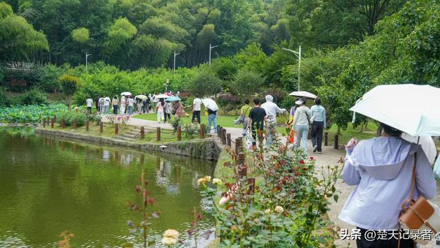 鄂州沙窝千秀谷庄园：亲子研学的自然课堂，欢乐成长的田园秘境