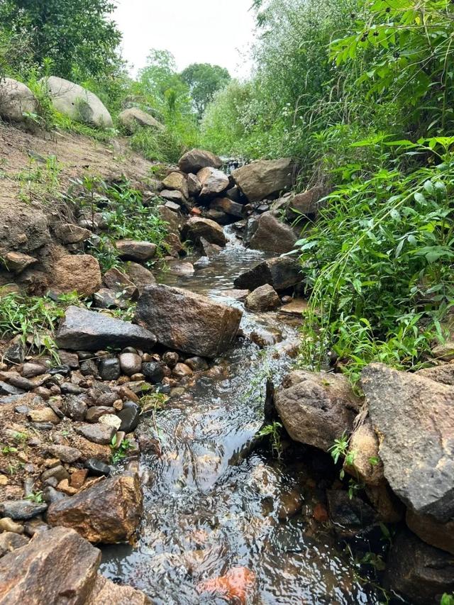 苏州这些地方只有27℃！进来“划水”！
