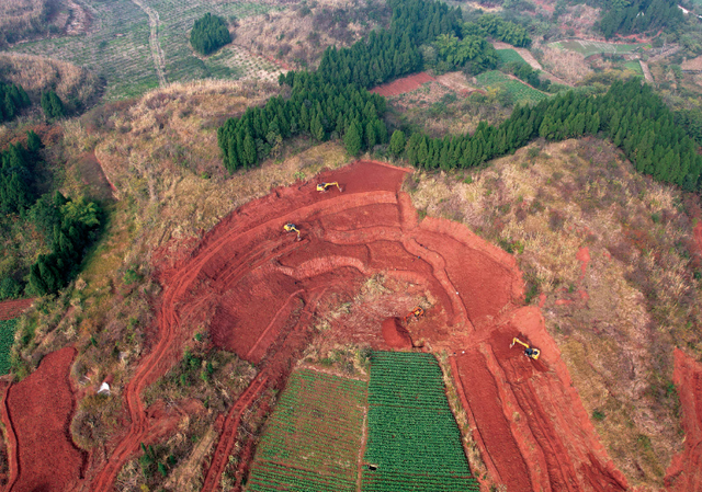 四川省东兴区历史沿革及行政区划