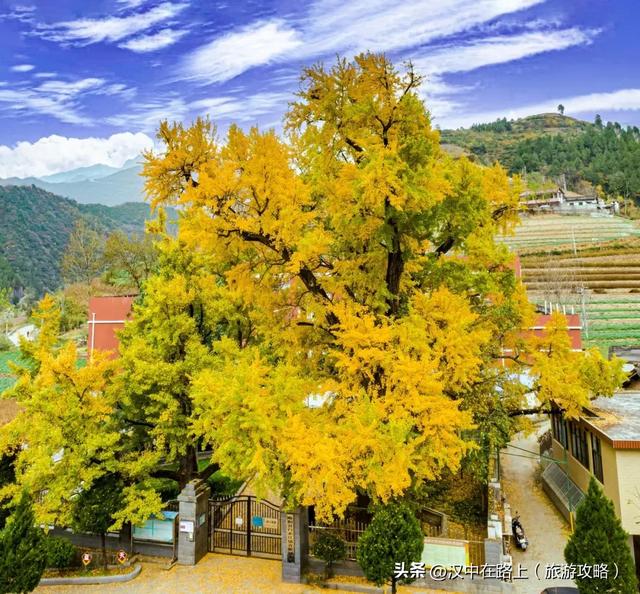 贴车贴,汉中汉析里温泉+室内水乐园门票免费送!