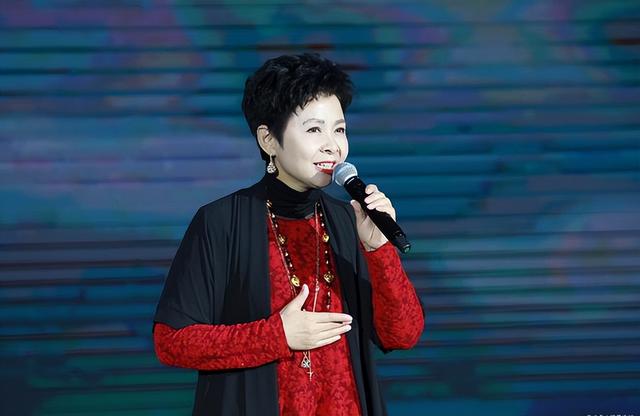 董文华不再沉寂，揭露了曾经被“封杀”的原因，原来我们都错怪她