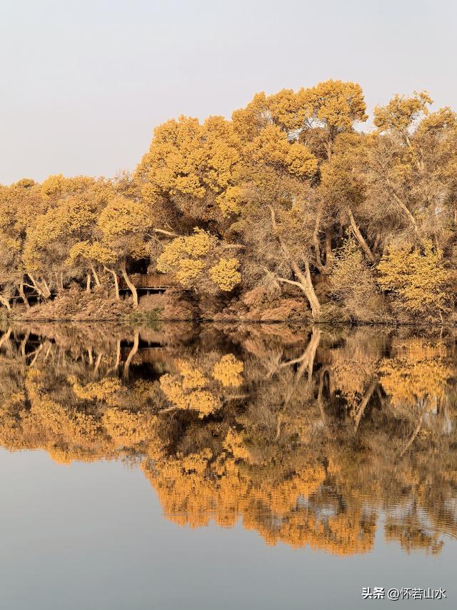 2025环南疆沙漠铁路背包自由行日记(6)---游览巴楚红海胡杨林景区