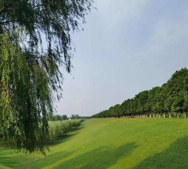 我是杭州人,从山东东明县回来,有3个疑惑萦绕心头。