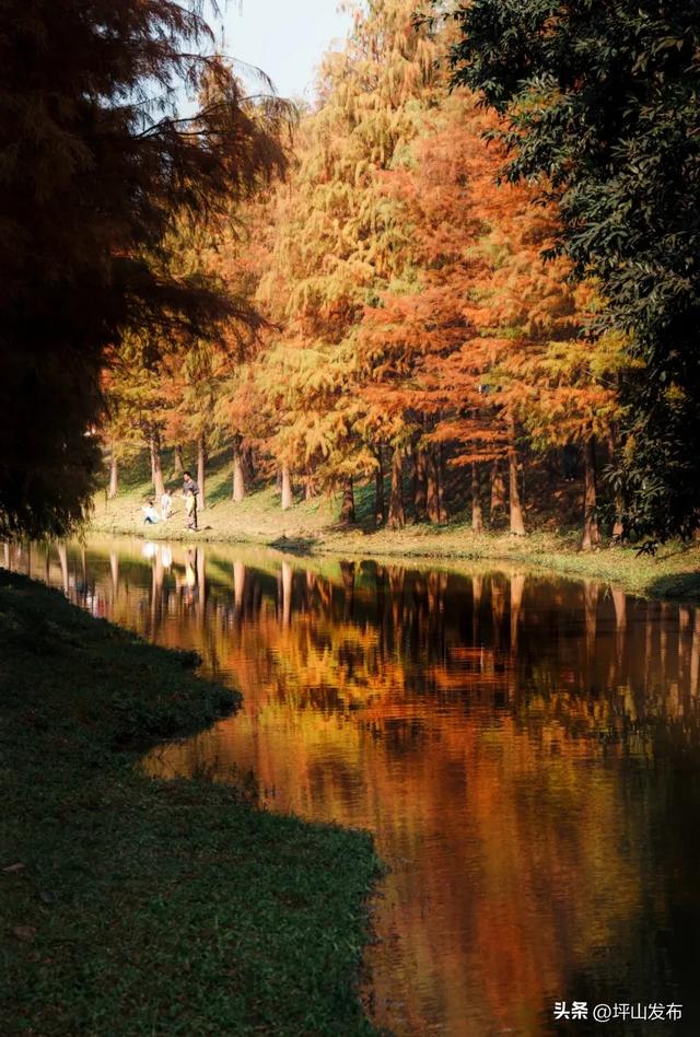 “都市栗人” 指南:坪山寻景品咖、暖过秋冬