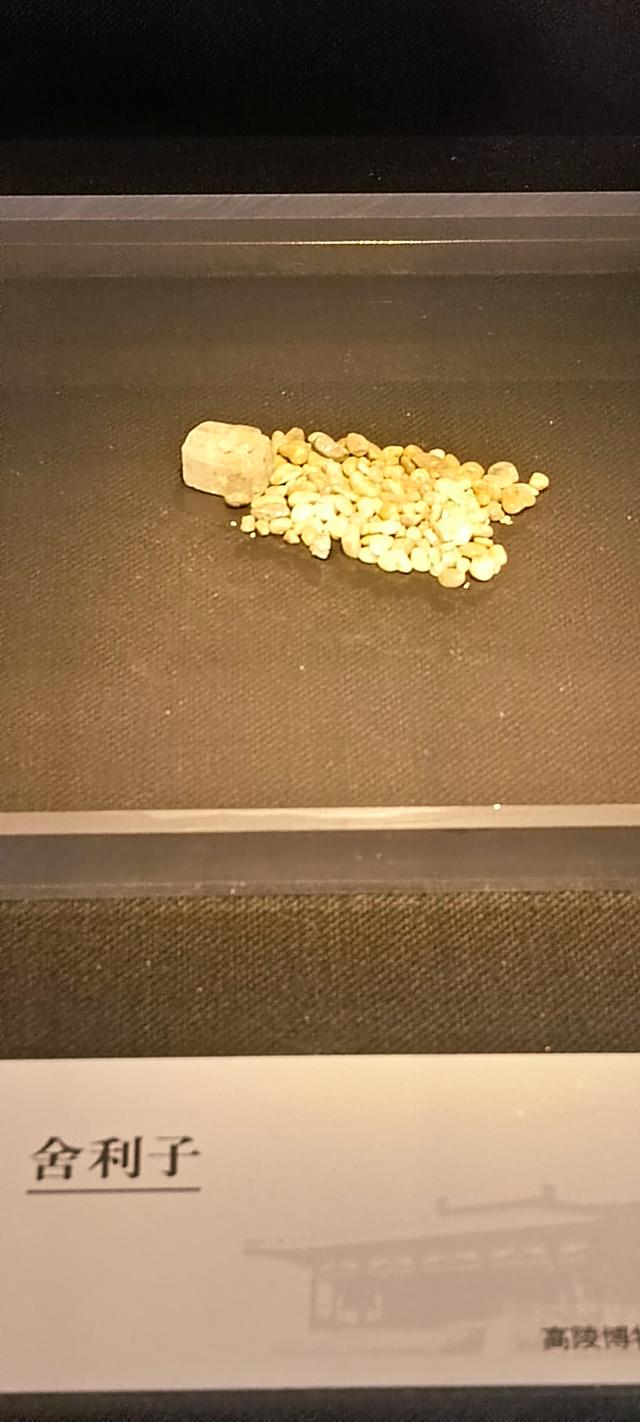 高陵昭慧塔文物展