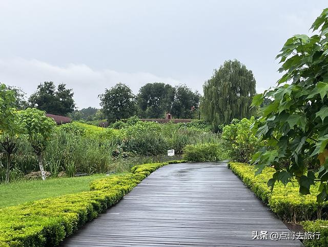 成都，最不可小看的公园，雨中超美，凉风阵阵，公共交通直达！