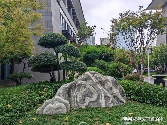 在邯郸住三天，每天餐后在邯郸这家花园式酒店院子里散散步真惬意