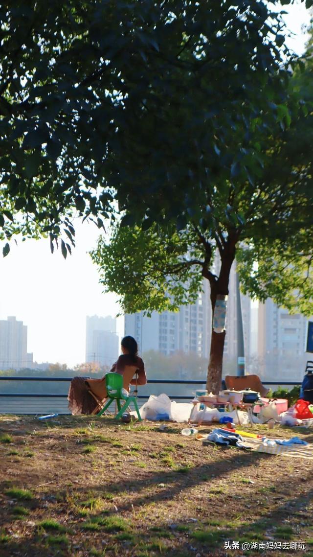 不用去南京，长沙也藏着 “梧桐秘境”！遛娃拍照美到窒息！
