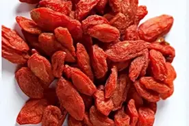 每日一味中药——枸杞子图片
