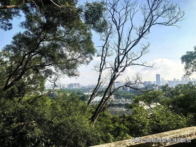 惠州VS广州：两城就隔1小时，游客：都是大湾区城市，差异大啊