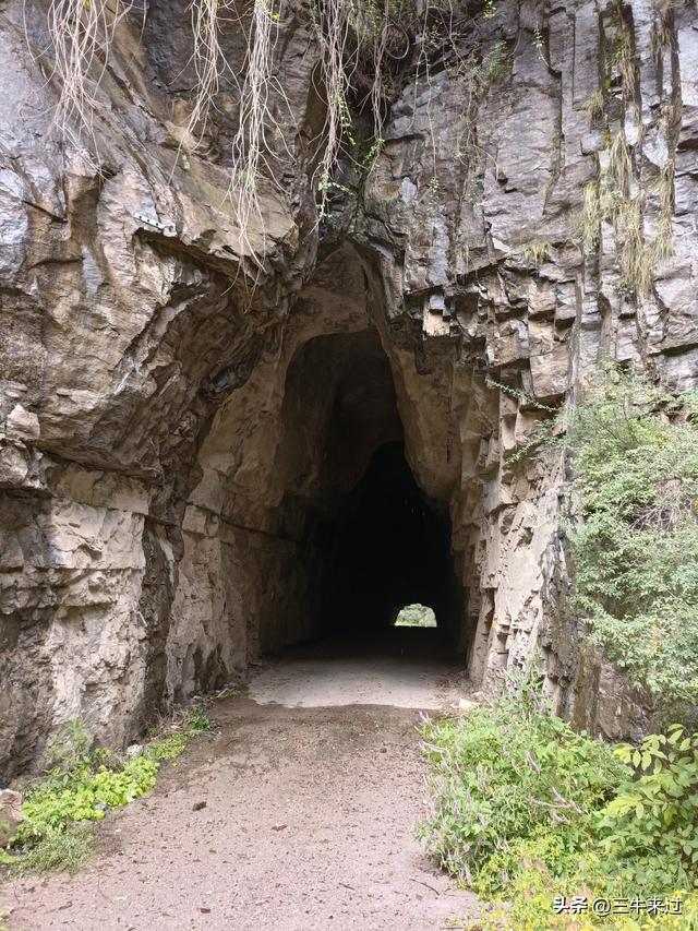 无为在歧路，壶关林州大名府4