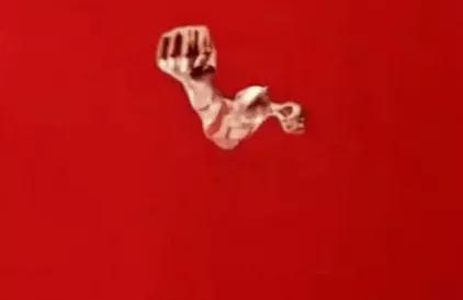 初代奥特曼佐菲和新奥特曼利匹亚佐菲