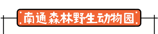 跟着“苏超”游南通！两天一夜这样玩包开心的~