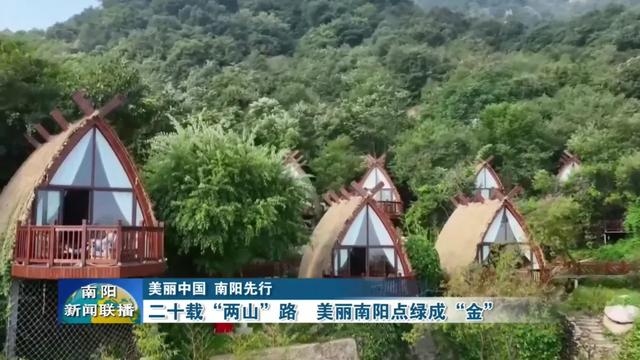 美丽中国 南阳先行 | 二十载“两山”路 美丽南阳点绿成“金”
