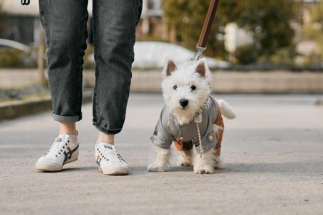 活着就为了打工？我收集了28种“人活着的意义”，第7条扎心了！