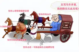 溃疡性结肠炎自愈的五驾马车，得之我幸，今公之于众！图片