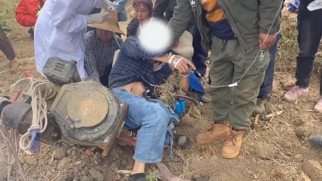玉米地里传来惨叫！64 岁农妇半截身子被吞，天黑抢收的代价太惨痛