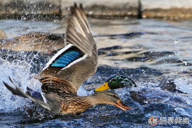 乌鲁木齐市水磨沟区——悄悄剧透！这是一条乌鲁木齐本地人私藏的逛吃路线