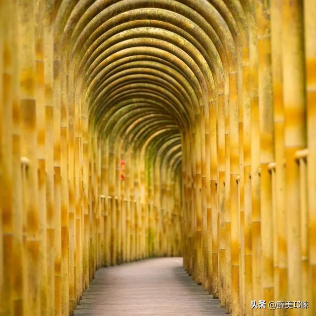 深秋想赴一场“森”系约会？来邛崃就够了！