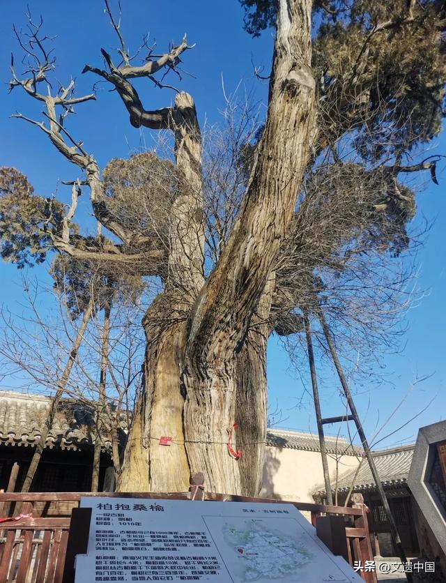 北京6个最适合发呆的地方，个个国家历史文化名村，你去过几个？