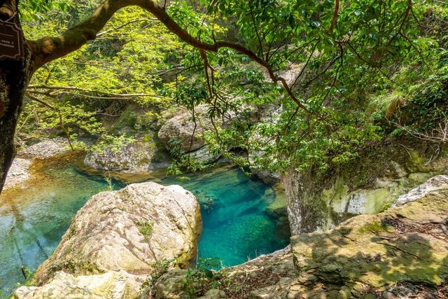 浙江被严重低估的宝藏仙山，与黄山齐名，此生必去！徐霞客没骗我