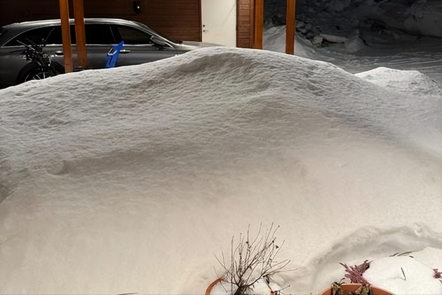 从乐高到驯鹿雪橇，丹麦挪威瑞典三国行，普通人的幸福有何不同？