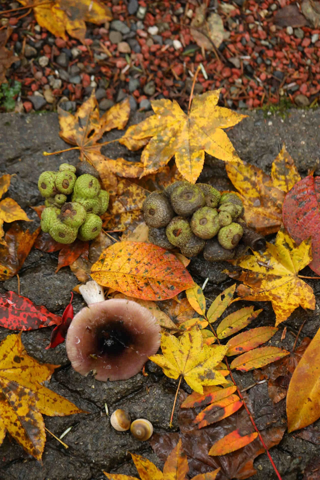 神图有了！在龙苍沟，出片还不是手拿把掐