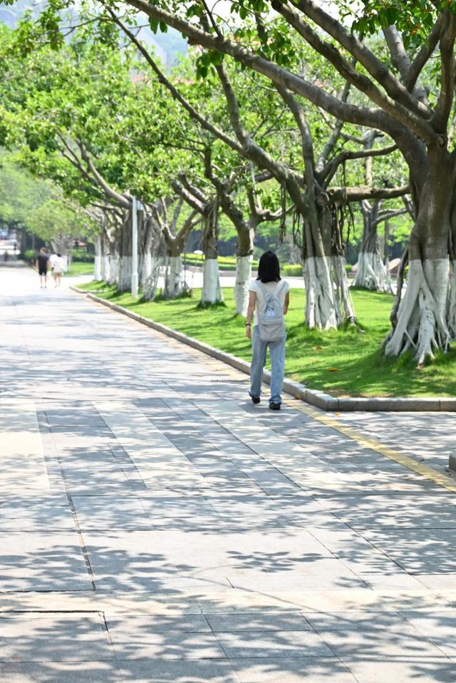 @XMUer，厦园这些路你都走过吗？