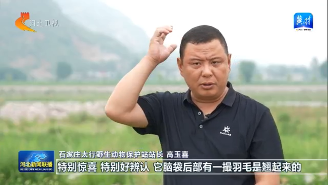 沿着河湖看河北 | ① 滹沱河：从一次特殊“家访” 探寻“活力密码”