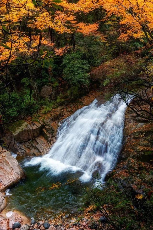 追了光雾山的红叶，这个秋天没白过！