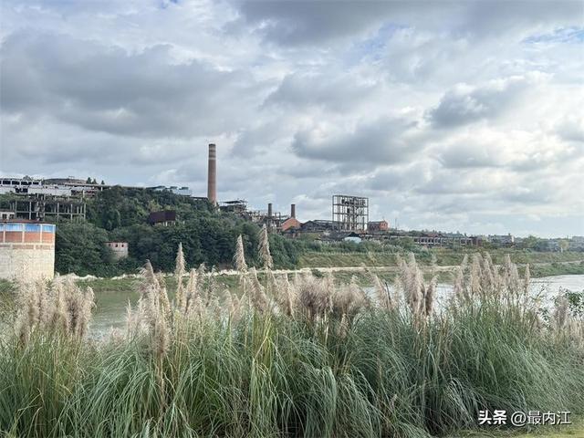 内江赏芦地图：秋景如画 时光如诗