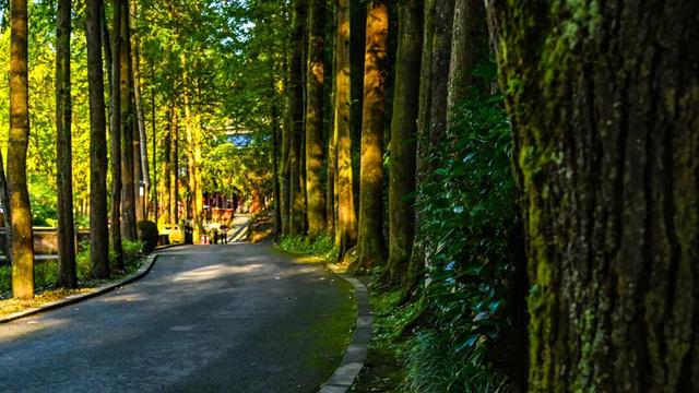 彭州这条“世界级”徒步线，走起！