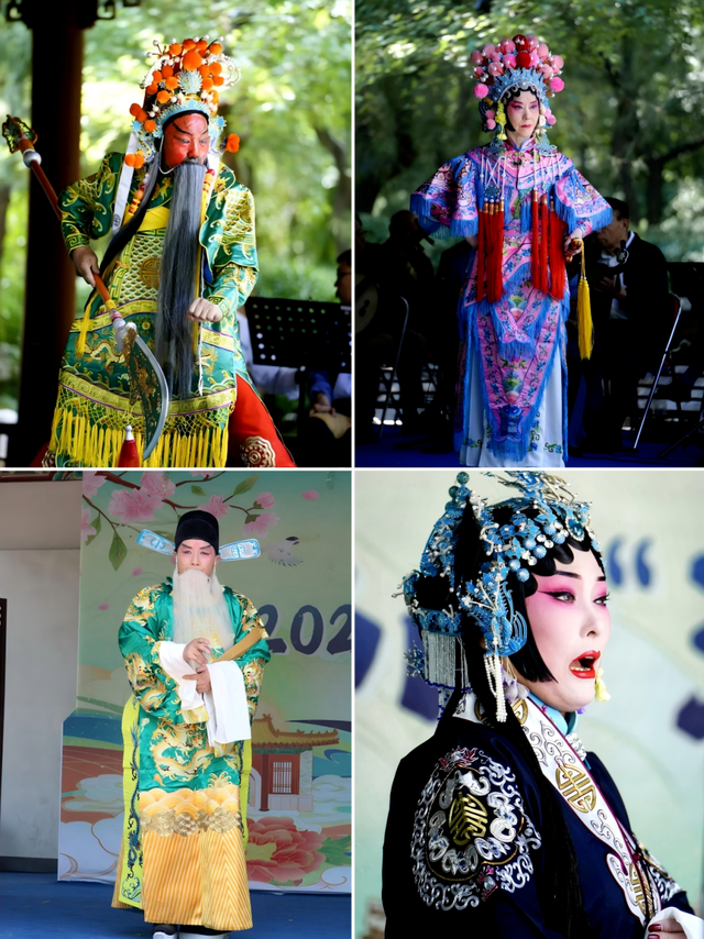 听说，山东的山最近变得「毛茸茸」？