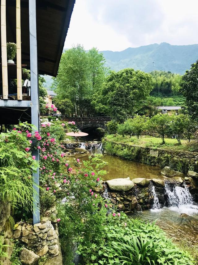 明月山躺平指南：在民宿里感受怦然心动！