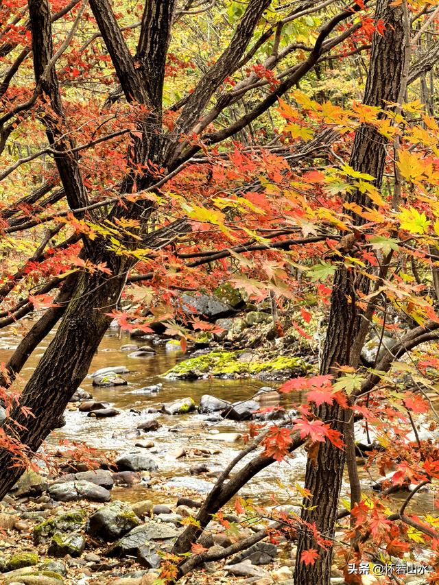 2025辽宁赏秋之旅日记(2)——游览丹东蒲石河森林公园