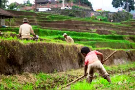 47年前，父母无奈收养了一个男娃，没想到改变了我们一家人的命运图片
